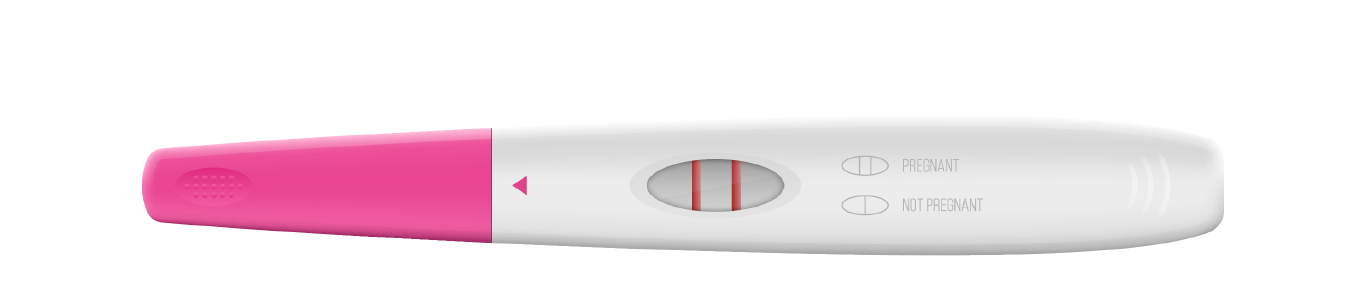 A positive pregnancy test has two solid lines, though the test line is often fainter than the control line
