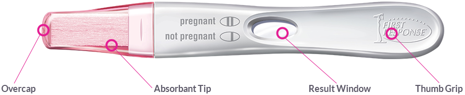 FIRST RESPONSE™ Test &amp; Confirm Pregnancy Test