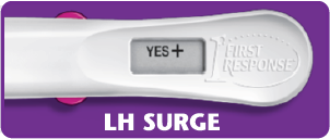 First Response ovulation test with LH surge