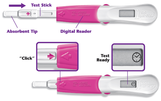First Response ovulation test explained