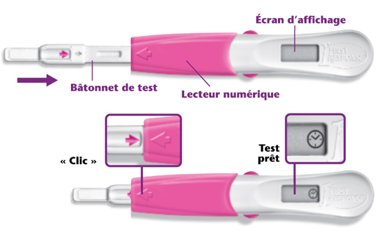Première Réponse test d'ovulation détails