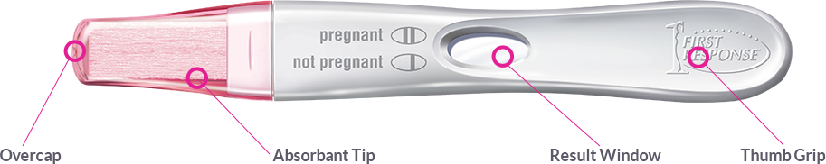 First Response Rapid Result pregnancy test with labels