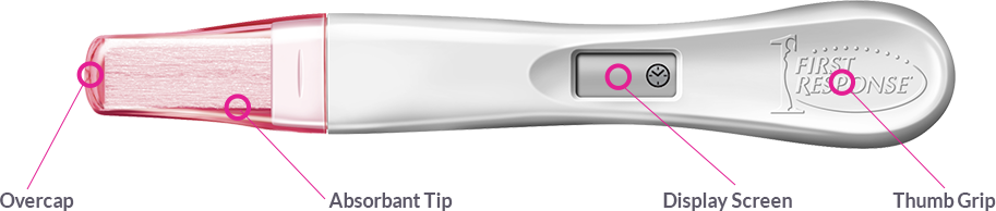 First Response Gold Digital Pregnancy test labeled