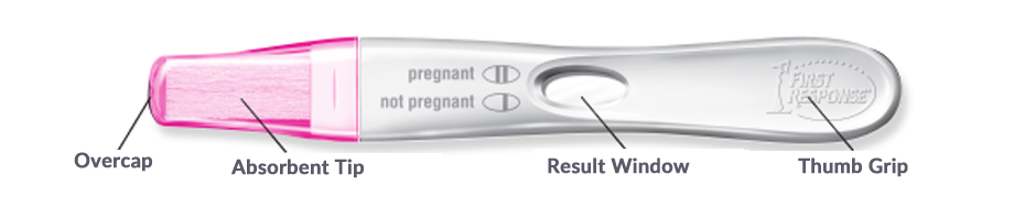 First Response Early Result pregnancy test with easy to read results and curved handle