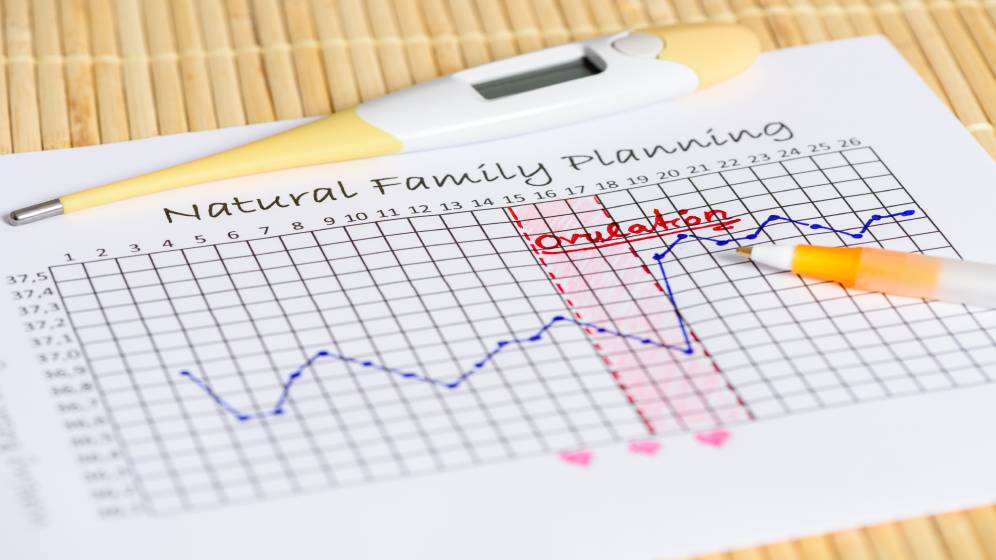 Natural Family Planning: waiting for the right moment. Thermometer with body temperature curve.