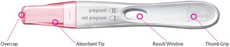 FIRST RESPONSE™ Early Result Pregnancy Test instructions